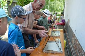 Imker 05 2017 (17)