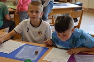 Schneckenprojekt 2017 (9) (Large)