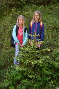 Projekttage Juni2017 150