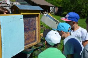 Projekttage Juni2017 214