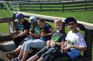 Projekttage Juni2017 227