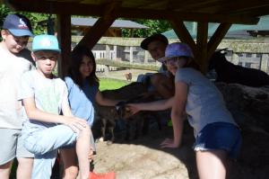 Projekttage Juni2017 234