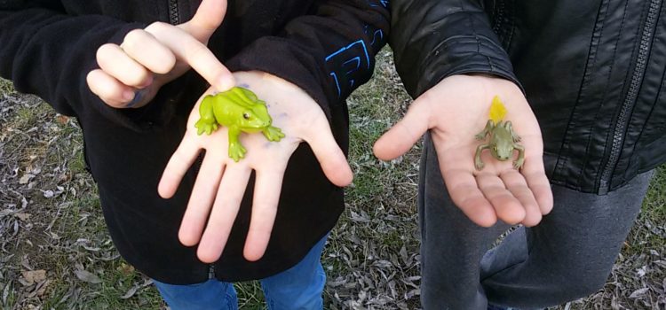 Zu Besuch in der AU Zu Besuch in der AU