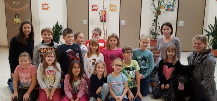 Auf den Hund gekommen… Auf den Hund gekommen…